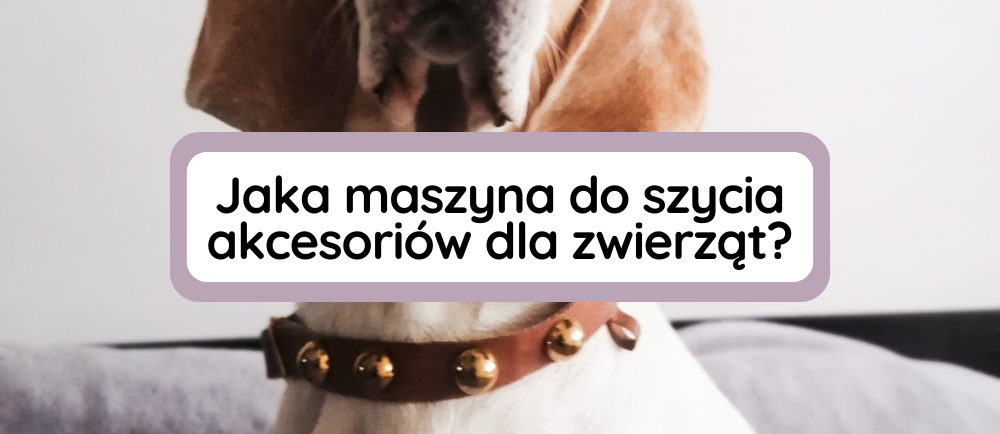 kurs szycia akcesoriów dla zwierząt